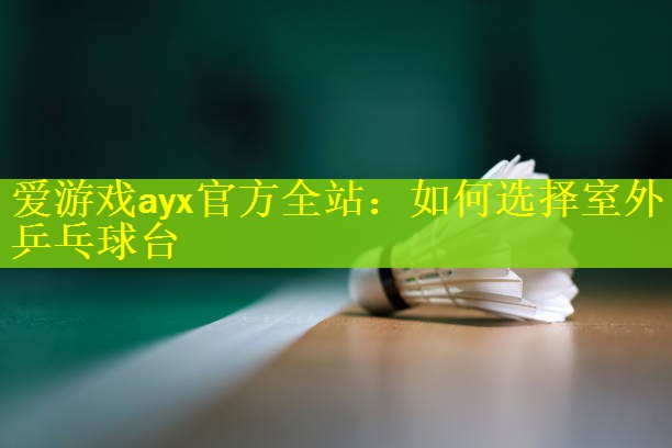 爱游戏ayx官方全站：如何选择室外乒乓球台