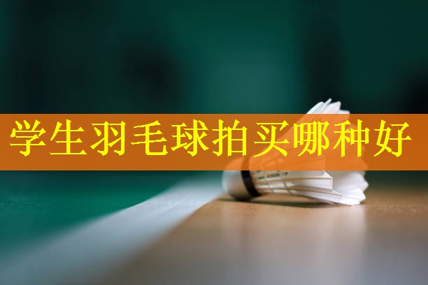 学生羽毛球拍买哪种好