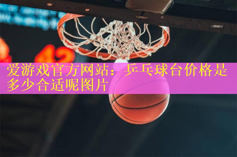 乒乓球台价格是多少合适呢图片